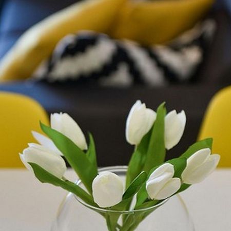 Mediterraneo Garden Apartments Petrcane Bilik gambar