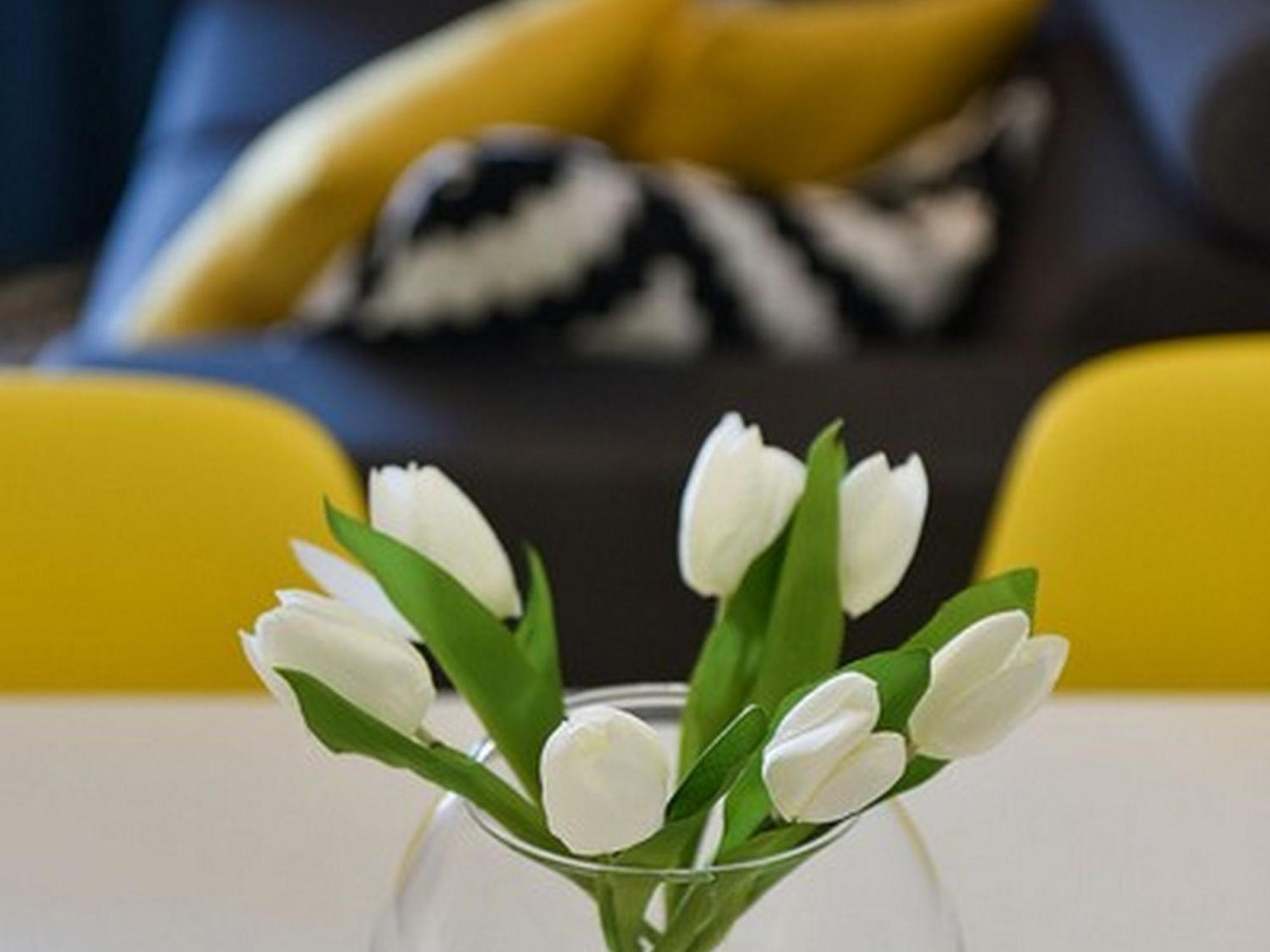 Mediterraneo Garden Apartments Petrcane Bilik gambar